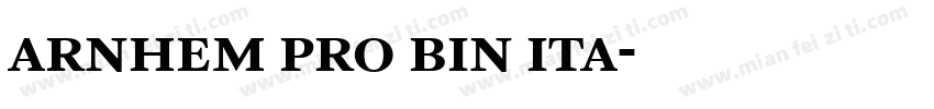 arnhem pro bin ita字体转换